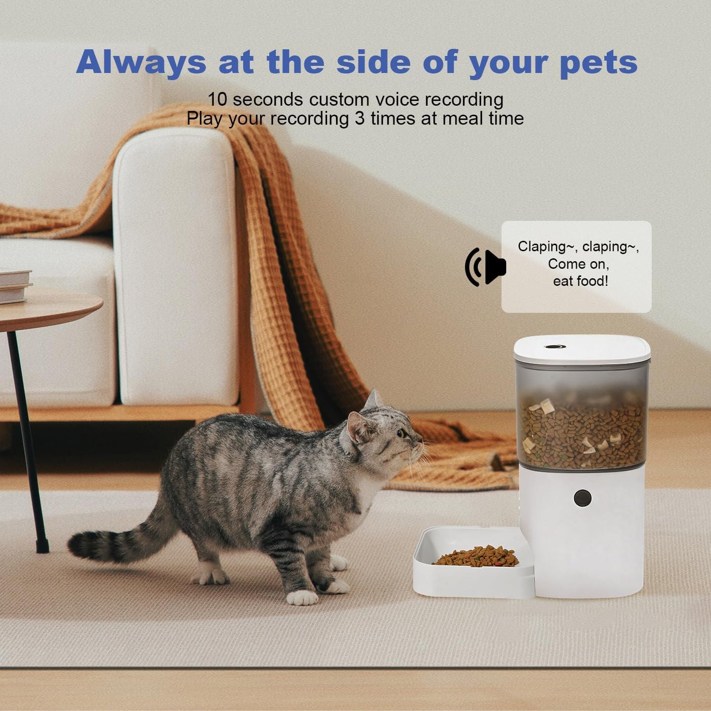 ANDOLL HOME Automatic Cat Feeder, 4L Cat Food Dispenser with 10S Voice Recorder, Pet Feeder up to 8 Meals per Day, Timed Dog Feeder with Dry Food Sealed Ring