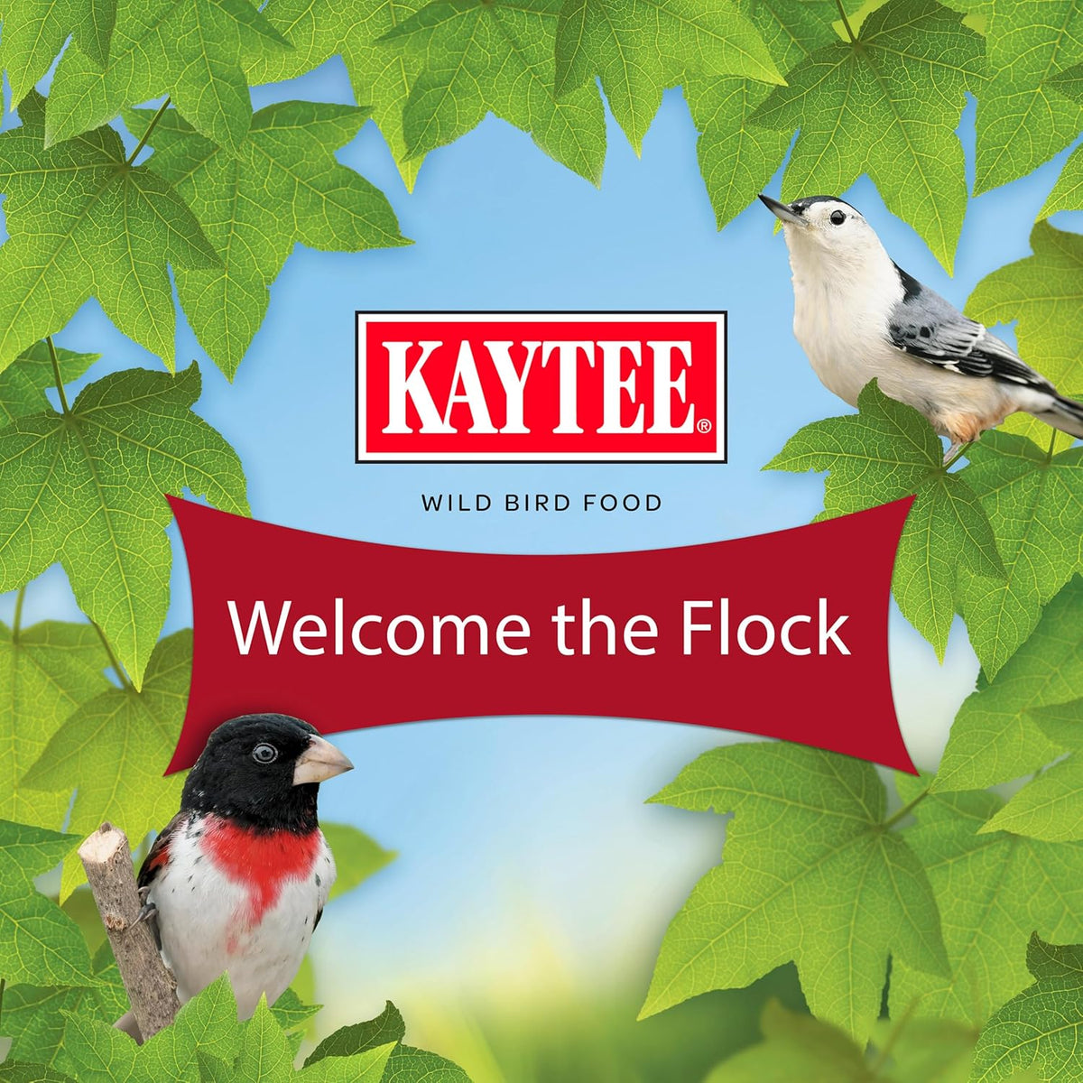 Kaytee Wild Finch Bird Food Stand up Bag, 5 Pounds