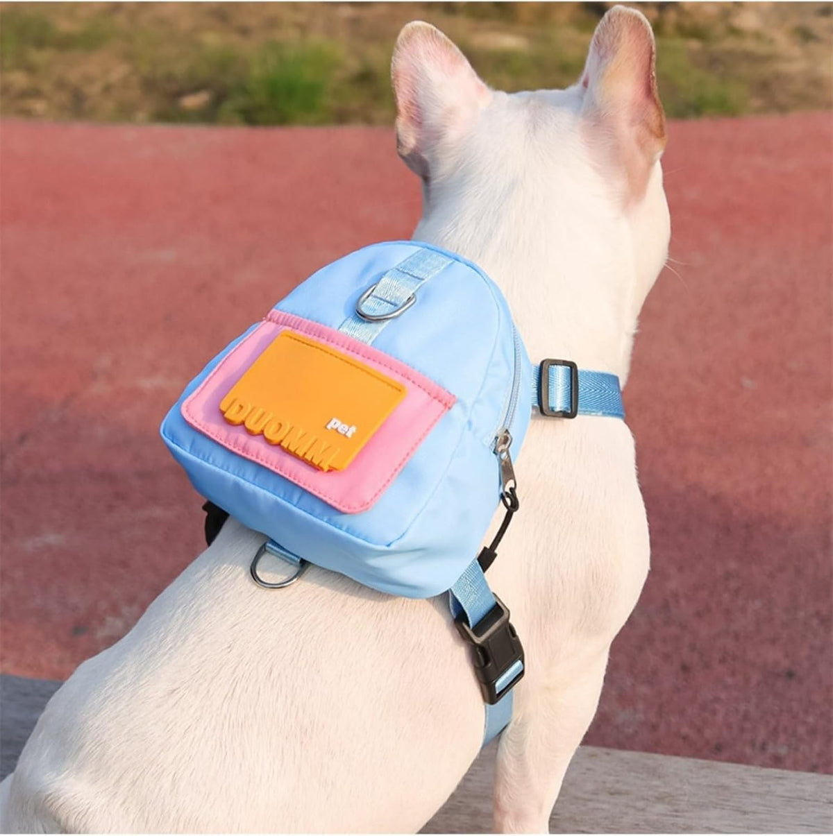 Backpack for Small Dogs to Wear,Dog Backpack with Leash, Adjustable Pet Backpack Harness, Suitable for Small and Medium Dogs, Puppies for Travel, Hiking and Daily Walking. (Blue(Fit:15-30Lb))