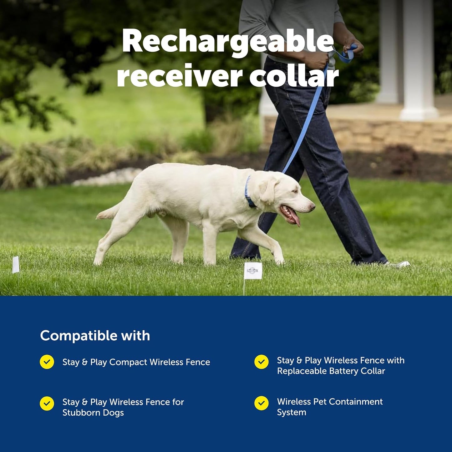 Petsafe Stay & Play Wireless Pet Fence Receiver Collar Only for Dogs and Cats, Waterproof and Rechargeable, Tone and Static Correction - from the Parent Company of INVISIBLE FENCE Brand