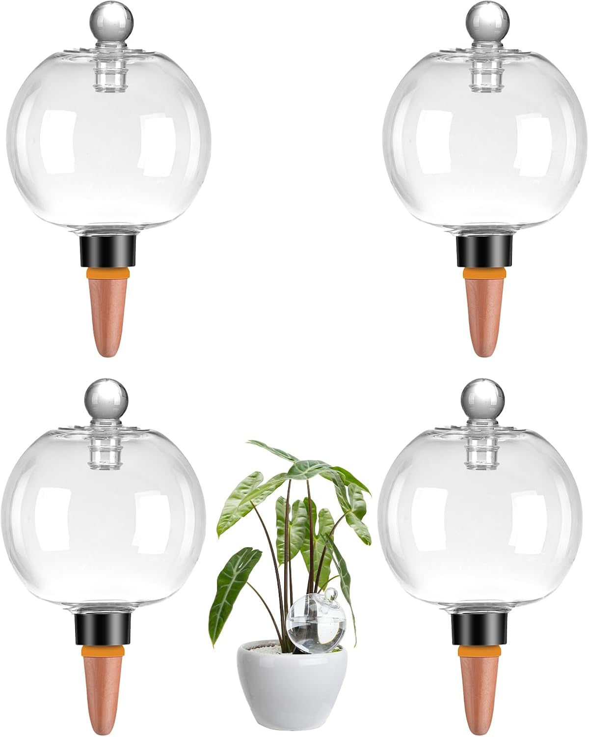 4 Pack 19 Oz Large Plant Self Watering Globes, up to 2 Weeks Plant Watering