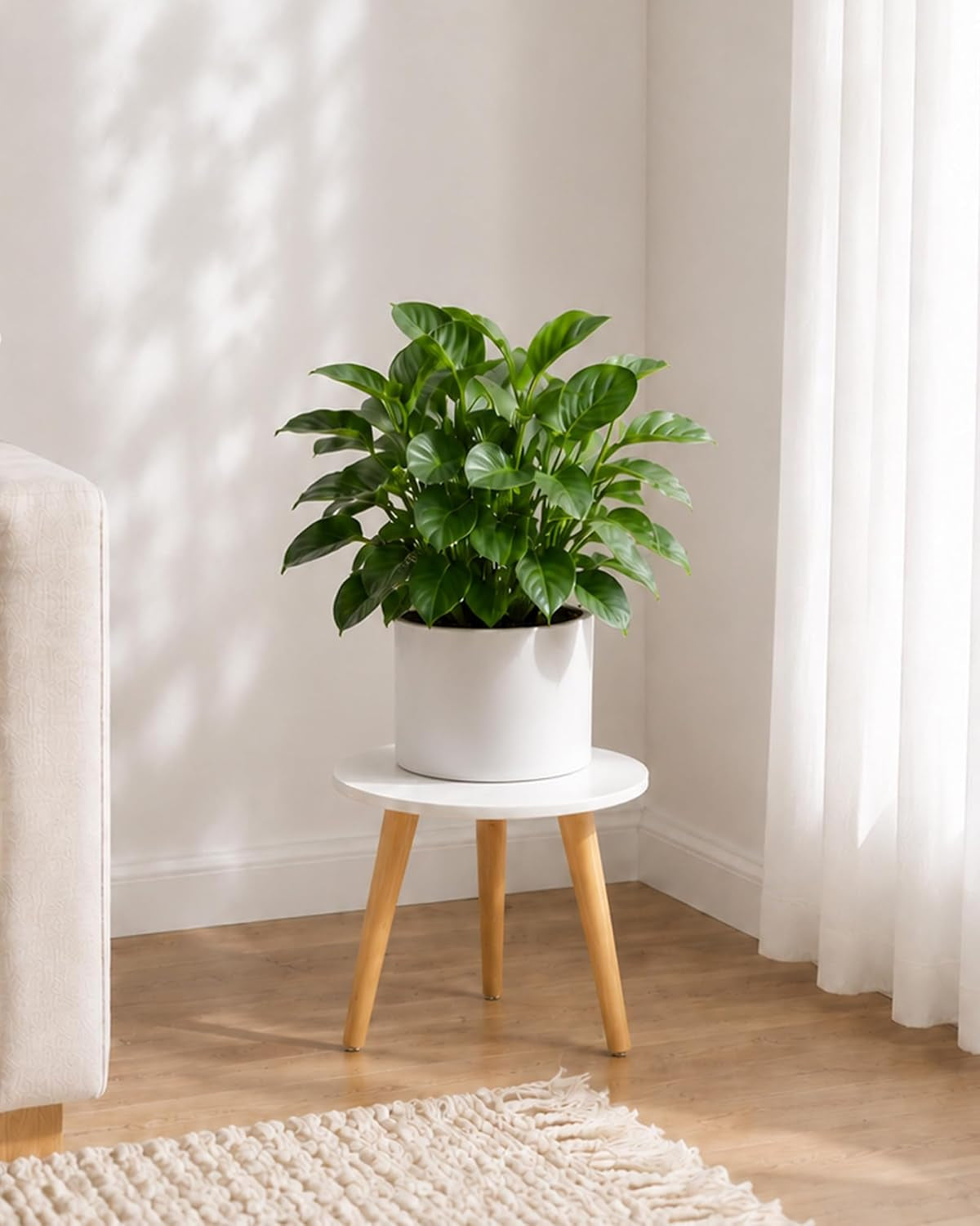 Bamworld Plant Stand Indoor Small Plant Table for Large Plant