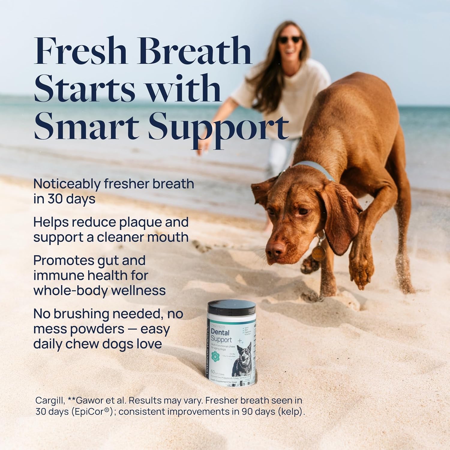 Veterinary Formula Dental Health Supplement for Dogs – Vet-Formulated Chews with Epicor® & Kelp – Smart Vitality Supports Plaque, Tartar, Breath & Oral Health, 60 Soft Chews