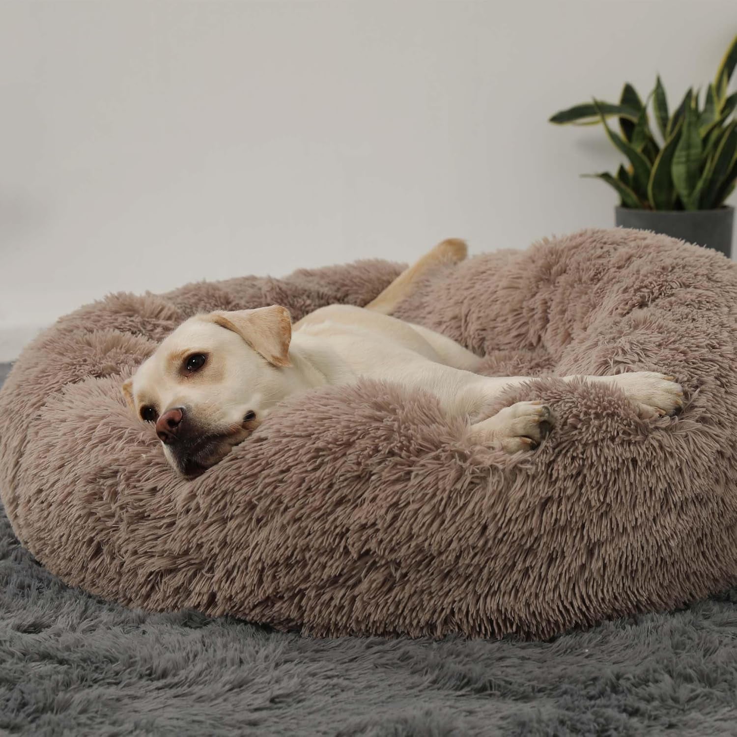 HACHIKITTY Calming Donut Cuddler Dog Bed, round Fluffy Pet Bed with Sewn-In Cushionfor Large Dogs,Washable, Large, Taupe, 30''