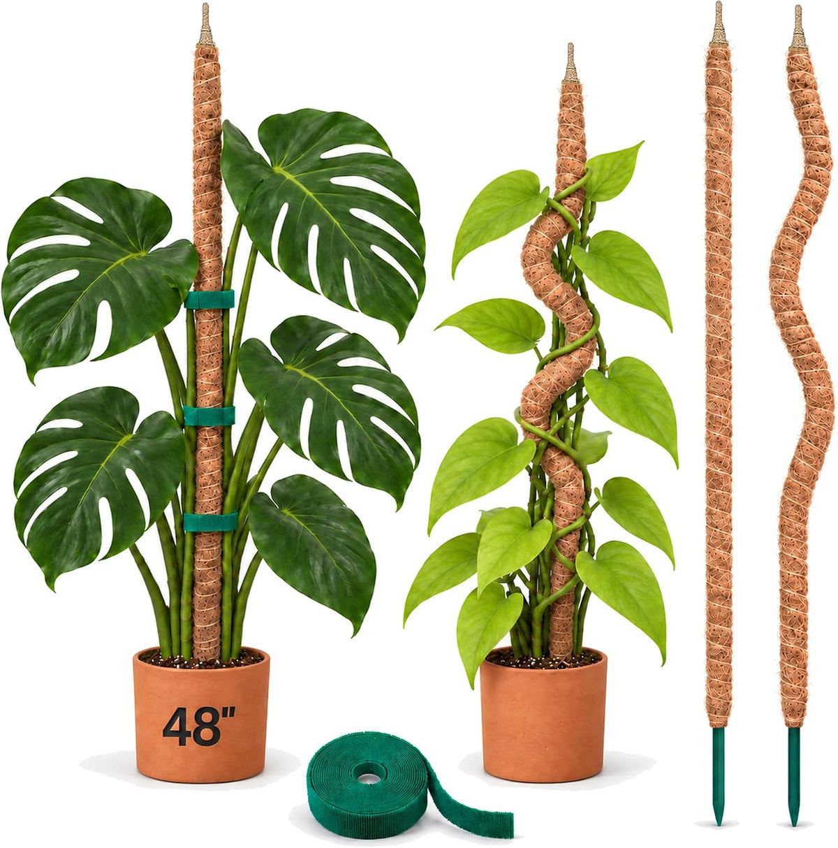 Sproot 48 Inch Moss Pole 2 Pack, Tall Bendable Monstera Plant Support