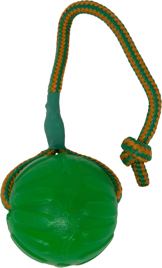 Starmark Swing 'N Fling Chew Ball Dog Fetch Toy 3.25-Inch