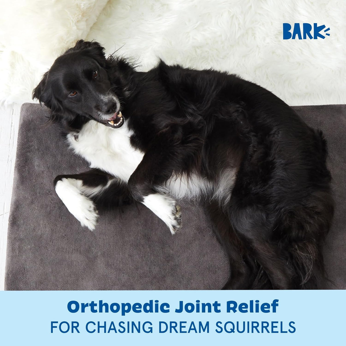Barkbox Orthopedic Dog Bed - Large