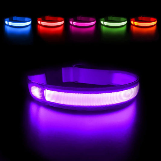 Light up Dog Collar - LED Dog Collar Rechargeable Waterproof Night Walking Glow Collar for Dogs (M, Purple)