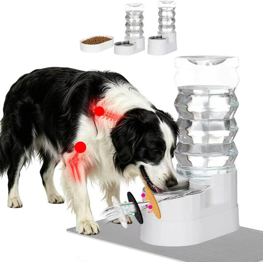 RIZZARI 9L Filtered Dog Waterer: Raised Design for Large & Senior Dogs