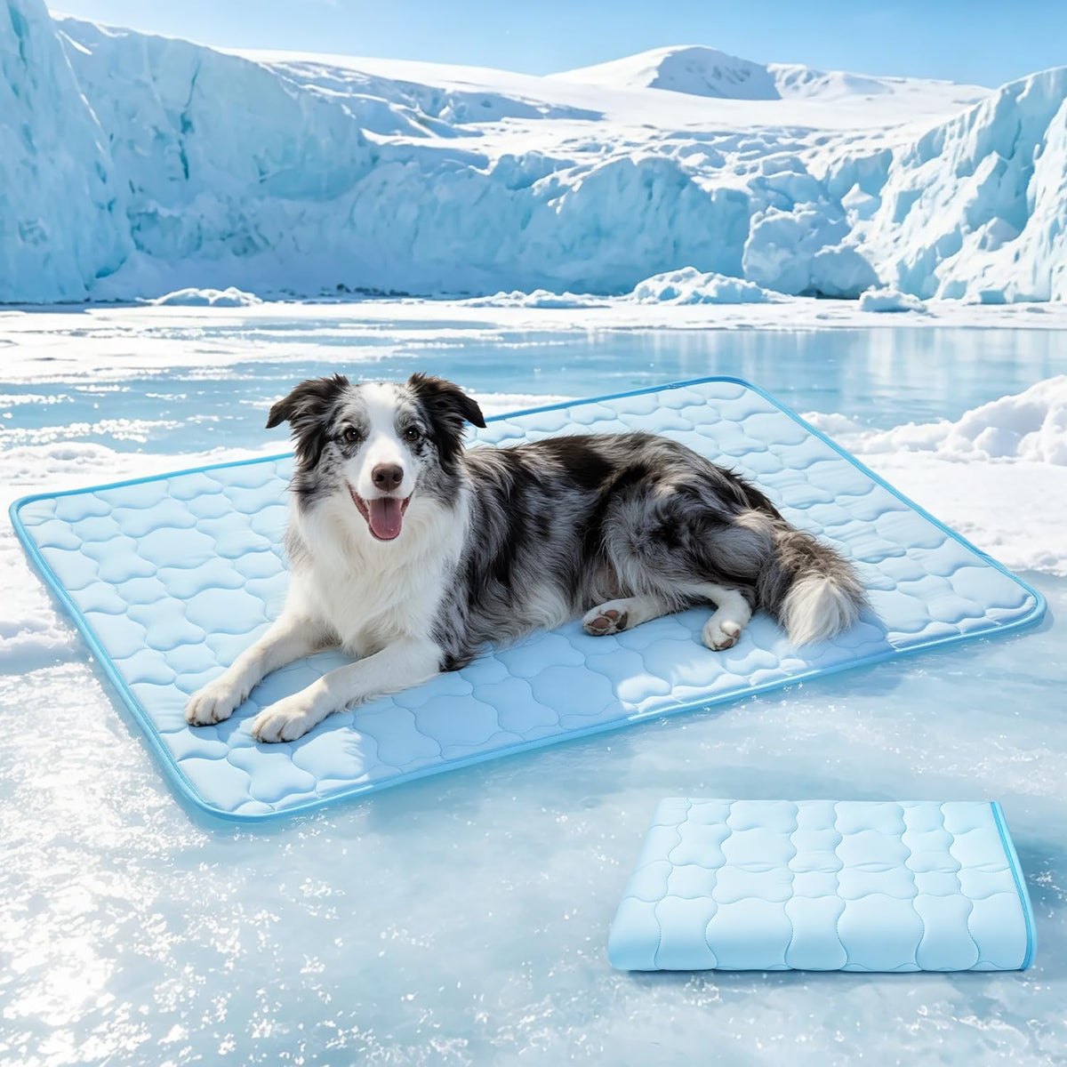 Dog Cooling Mat for Large Dogs & Cats, 55 X 39 in Washable Pet Cooling Pad, Double-Sided Soft Mat with Waterproof Reverse Side, No Gel, Water or Electricity, for Crate, Sofa, Floor & Car (Blue, XL)