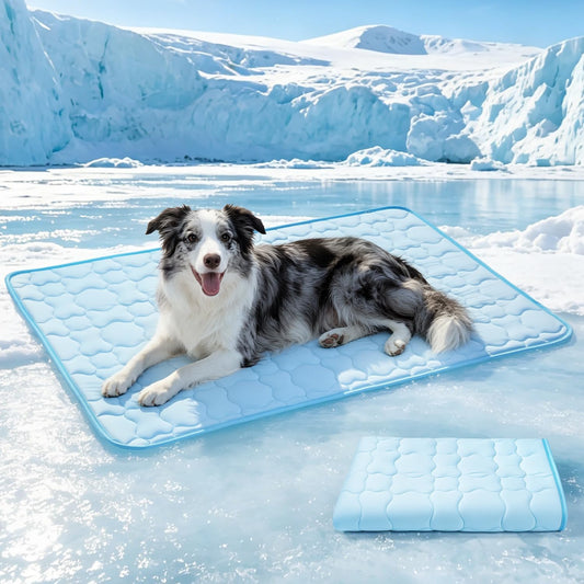 Dog Cooling Mat for Large Dogs & Cats, 55 X 39 in Washable Pet Cooling Pad, Double-Sided Soft Mat with Waterproof Reverse Side, No Gel, Water or Electricity, for Crate, Sofa, Floor & Car (Blue, XL)