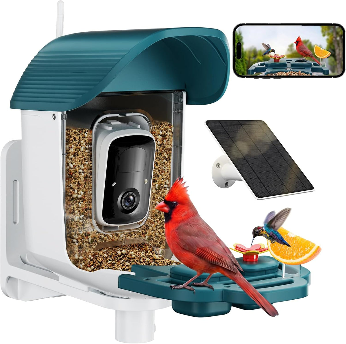 Bird Feeder with Camera Solar Powered, 2K HD Birds Feeder Camera for Outdoors, Instant Motion Detection & Alerts, AI Smart Identify Birds Species, Gifts for Mom Dad and Bird-Lovers(Cyan-Blue)