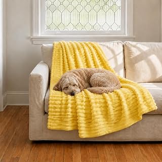 Emotional Support Blanket Yellow Dog Security Blanket Indoors Sofa Kennel