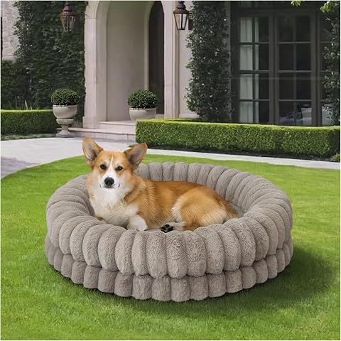 BALANCE Luxury Donut Dog Bed, 30 Inches round Dog Bed Medium Size Dogs Washable, Orthopedic Calming Dogs Bed for Pets with Anti-Slip Bottom, Oatmeal