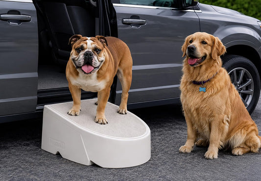 Pet Gear One Step for Dogs/Cats, Light Sand