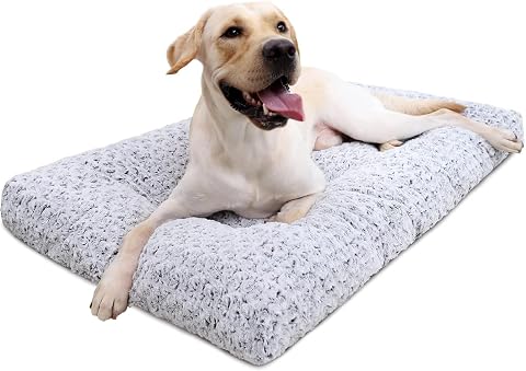 Diggs Bolstr Orthopedic Memory Foam Dog Crate Bed, Headrest, Medium