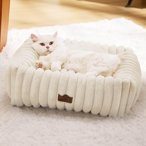 Cat Beds for Indoor Cats, 2 in 1 Cat Cave Bed Kitten Bed for Small Pets, Small Dog Bed with Cover, Pet Bed for Puppy and Kitten with Anti-Slip Bottom-Dark Gray-20 Inches