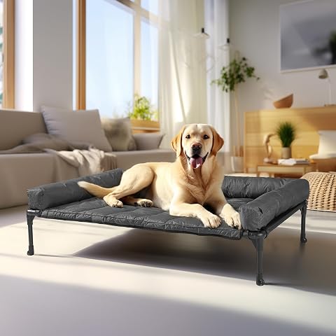Elevated Dog Bed Raised Outdoor Dog Cot for Large Dogs, Installation Requires No Tools, Frame with Washable Cooling Breathable Mesh Anti-Slip Feet, Indoor Pet Bed, Black, 43.3 Inches