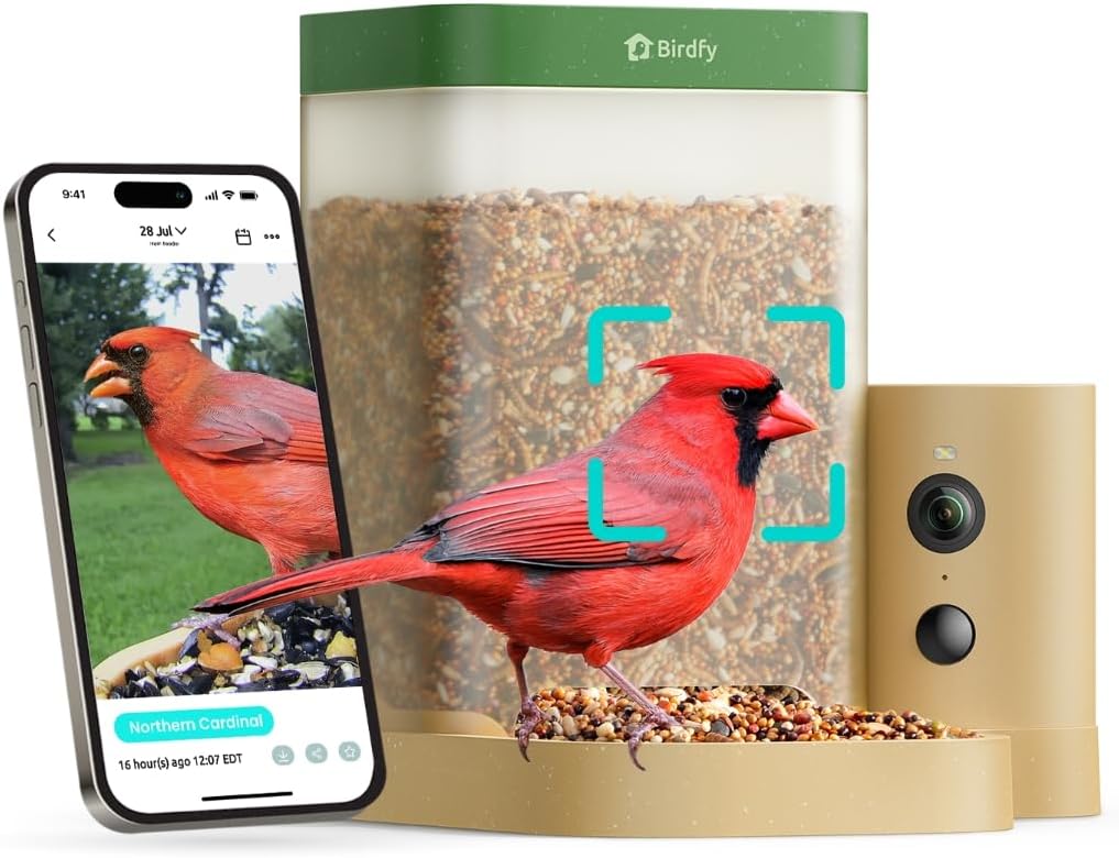 Birdfy Smart Bird Feeder with Camera for Beginners, Solar Powered Rookie
