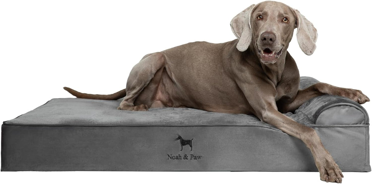 NOAH & PAW XL Dog Bed, 45X35X9.1 Inch, Orthopedic Large Dog Beds, Eggshell Memory Foam Infused with Cooling Gel, Water Resistant, Machine Washable, Includes Inner Cover