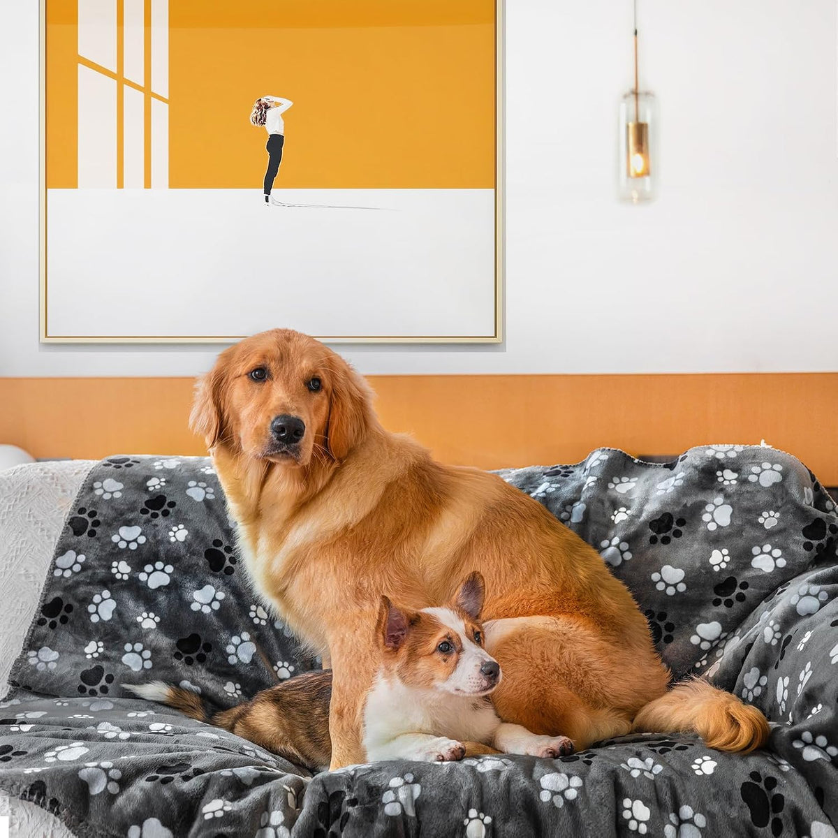 Waterproof Pet Blanket Dog Blankets, Pattern Printing Super Soft Warm Fluffy Facecloth Sofa Car Bed Protector, Urine Proof Washable Outdoor Pet Blanket for Puppy Large Dogs & Cats 40 * 30 Inch