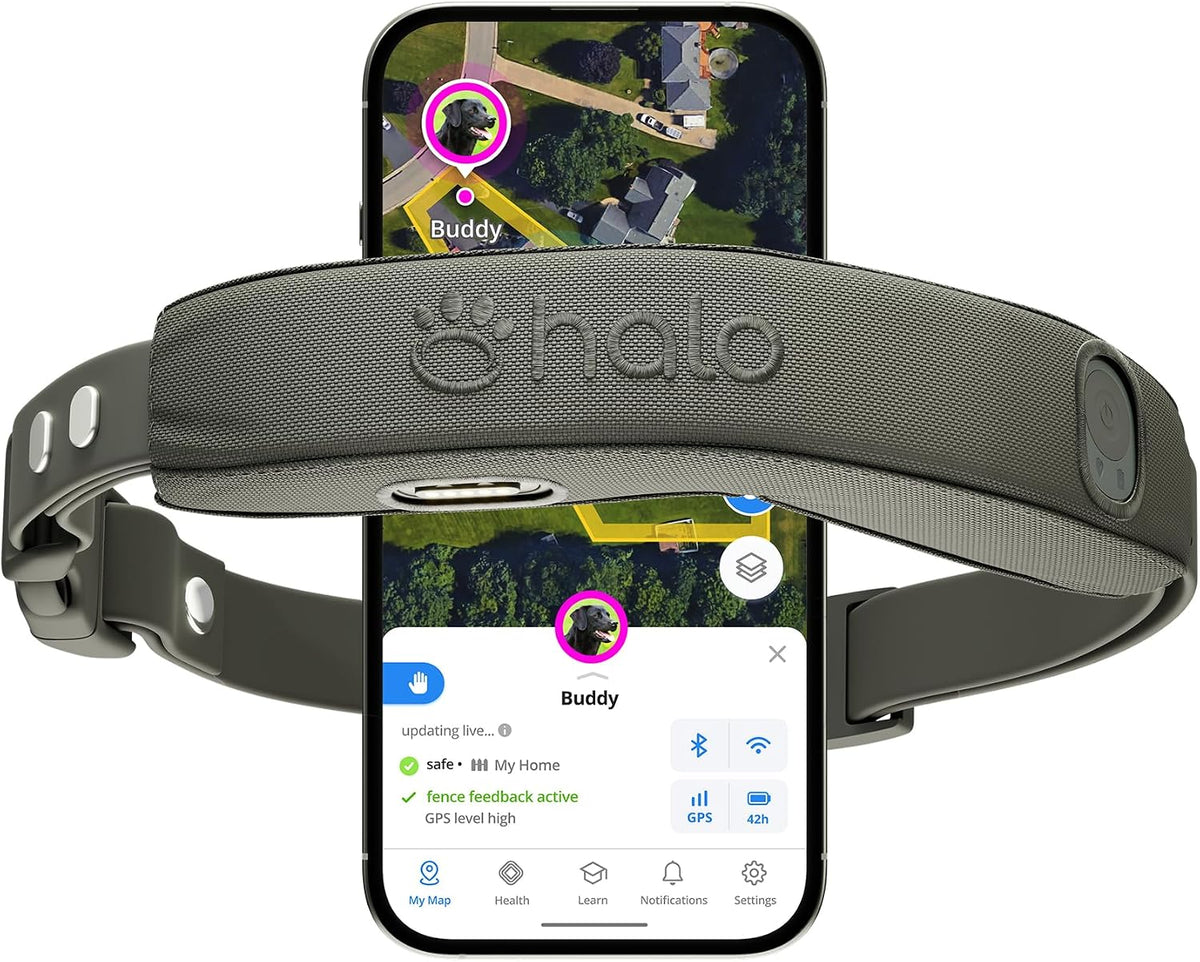 Halo Collar 5 Wireless Dog Fence System, GPS Tracking & Activity Insights