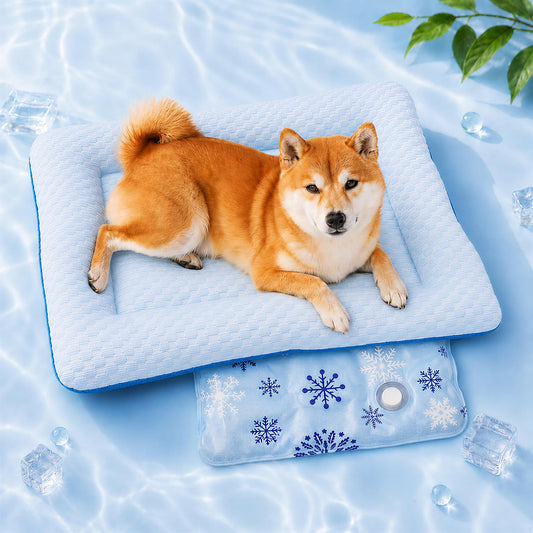 Water-Fill Cooling Cat Bed, Thick Cushion, Raised Bolsters, Soft&Breathable
