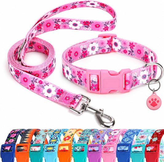 Floral Matching Dog Collar and Leash Set with Airtag Holder-Pink Daisy/Xs