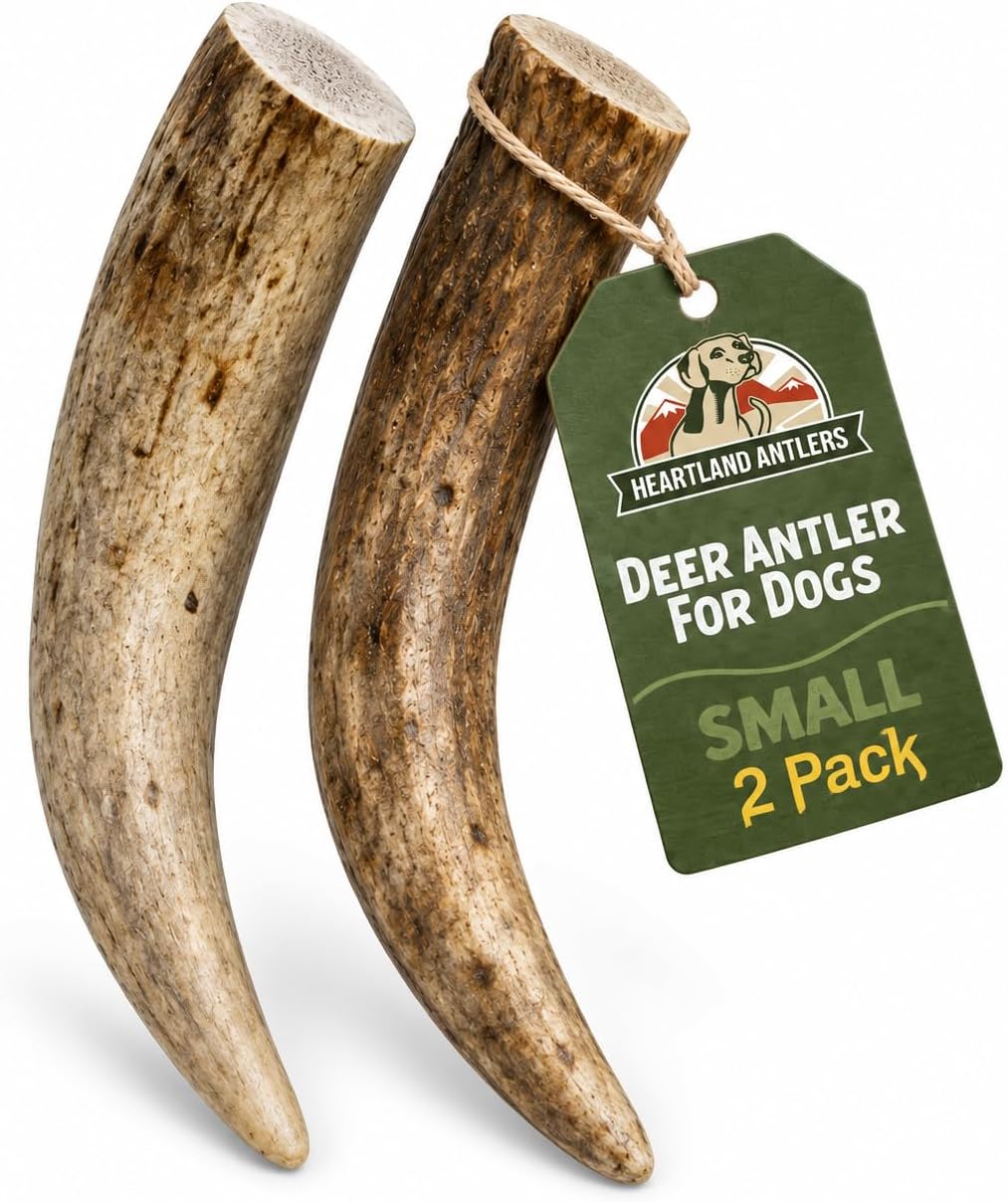 Heartland Antlers Deer Antler Dog Chew, Small 4-5 In, 5-25 Lb Dogs, 2 Pack