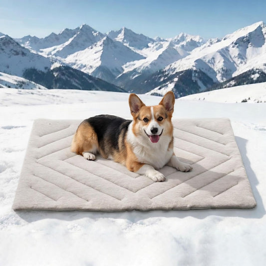 Dog Cooling Mat, Q-Max>0.46 Instant Cool Pad for Dogs, Reversible 4-Layer Thick Pet Cooling Pad, Machine Washable,For Crate, Car, Indoor & Outdoor Summer（Large-26 L X 23" W)