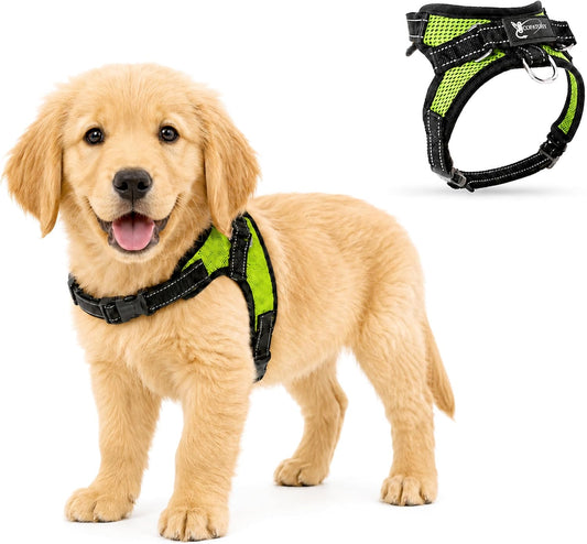 No Pull Reflective Adjustable Dog Harness with Handle- Comfortable Soft All Weather Mesh, Easy on Puppy Harness for Small Medium and Large Dogs (Green) Small