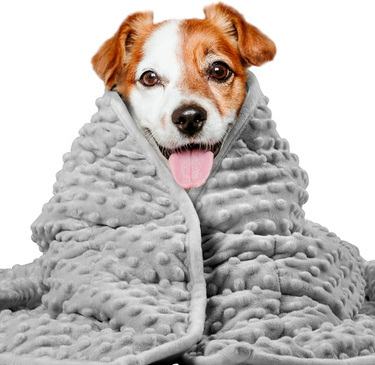 Lasyl Weighted Blanket for Pets | Thunder Blanket for Dogs Anxiety | Premium Soft Minky | Relaxation & Calming & anti Anxiety | Used in Car, Bed, Couch | Blue Grey Star, Washable Medium (32"X40")