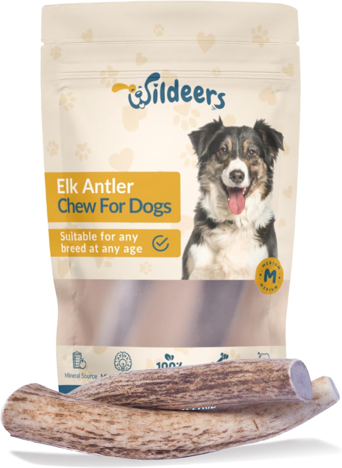 Wildeers Elk Antlers for Dogs Medium, 2-Pack, Whole Antler Dog Chews - Mind Stimulating Treat, Naturally Shed, Grade A, 5-7 Inch, Long Lasting Bone for Aggressive Chewers