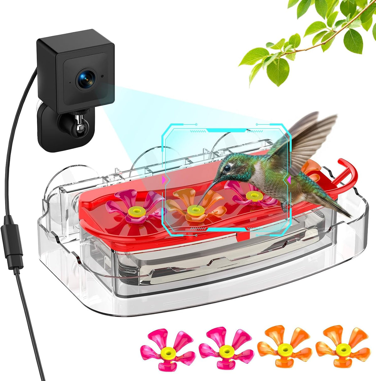 2K Smart Window Hummingbird Feeder Camera with AI Identify, Auto-Capture Fast Moments, IP65 Waterproof & Ant Moat, Strong Suction for Apartment/Cat TV, Best Gift for Bird Lovers