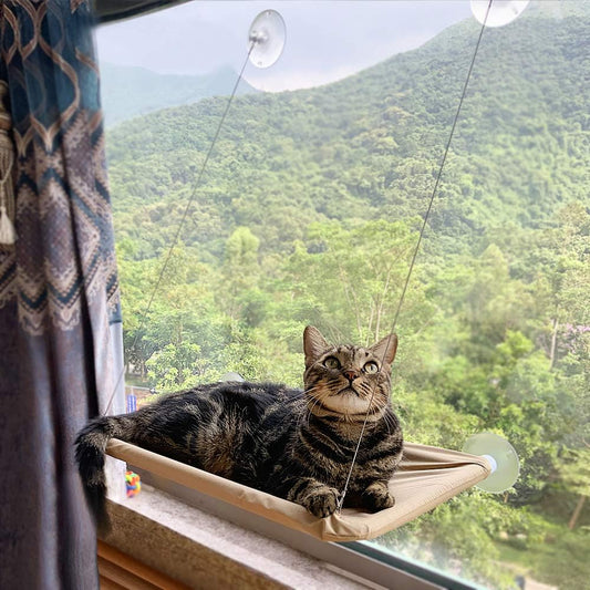 Cat Window Perch,Cat Hammock Window Seat Bed Space Saving Design 360° Sunbath Holds up to 50Lbs for Any Cats Size