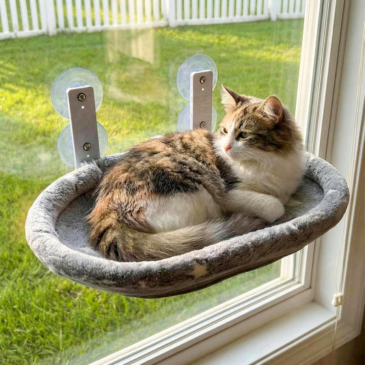 Cat Window Perch, Glow in the Dark Cordless Pet Hammock Bed for Window