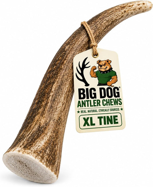 Big Dog Antler Chews Elk Antler Dog Chew, Extra Large Tine, 8-12 Inches, XL - Great for Large Dogs and Puppies