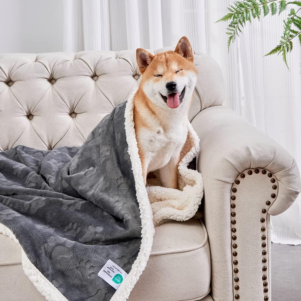 Qeils Dog Blankets for Small Dogs - Waterproof Cat Blanket Washable - Sherpa Fleece Puppy Blanket, Soft Plush Reversible Throw Protector for Bed Couch Car Sofa, 30"X40", Grey
