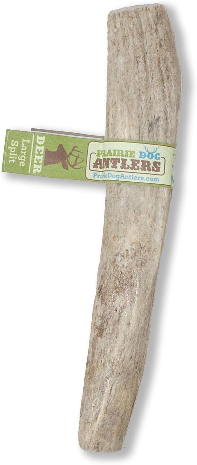 Prairie Dog Antlers for Dogs | Deer Antler Dog Bone, Large Split Antler