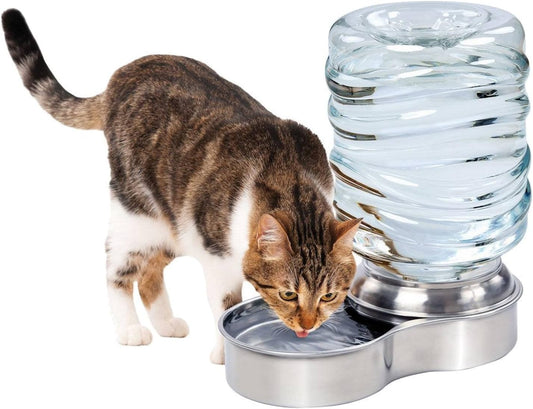 Etna Stainless Steel Pet Dog Cat Water Fountain Bowl, Holds 3 Liters