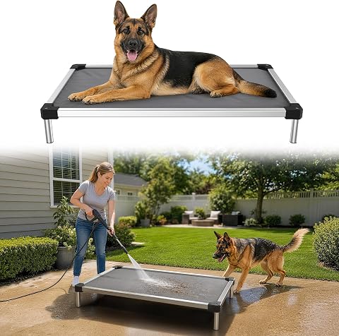 Petizer Chew-Proof Elevated Dog Bed for Large and Giant Breeds up to 250Lbs, Heavy Duty Rust-Proof Extra Large Raised Dog Cot for Indoor/Outdoor/Camping Use, 56" L X 37" W X 9" H, Black