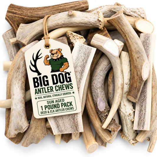 Big Dog Antler Chews - One Pound Pack of Sun-Aged Deer and Elk Antler Dog Bone Chews - Natural Healthy Long-Lasting Treat