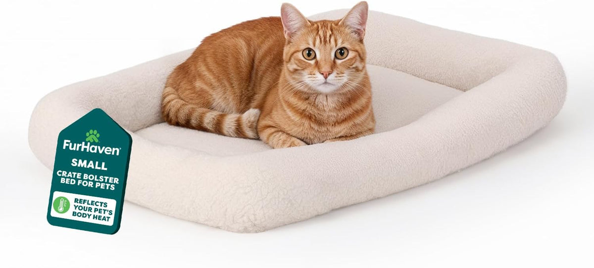 Coolaroo Original Elevated Dog Bed - Breathable Off-The-Ground Pet Bed with Cooling Fabric, Joint Relief & Moisture-Resistant Fabric, 100% Recyclable, Easy Clean, Grey, Medium