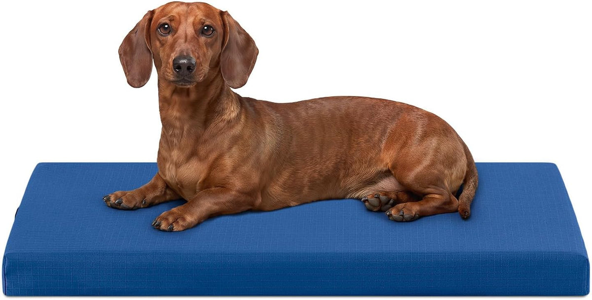 WESTERN HOME Cooling Elevated Dog Bed for Large Dogs,Outdoor Raised Dog Bed