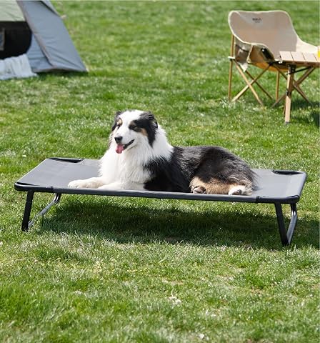 Love'S Cabin Elevated Cooling Dog Bed for Large Dogs, Portable Indoor & Outdoor Raised Pet Dog Cat Cot, Durable Summer Frame with Breathable Mesh, Grey, 48 Inches