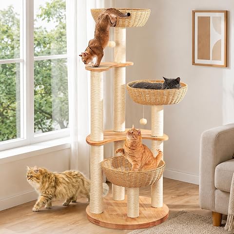 SHODMI 54" Modern Cat Tree Tower for Indoor Cats, Large & Multi-Cat Homes