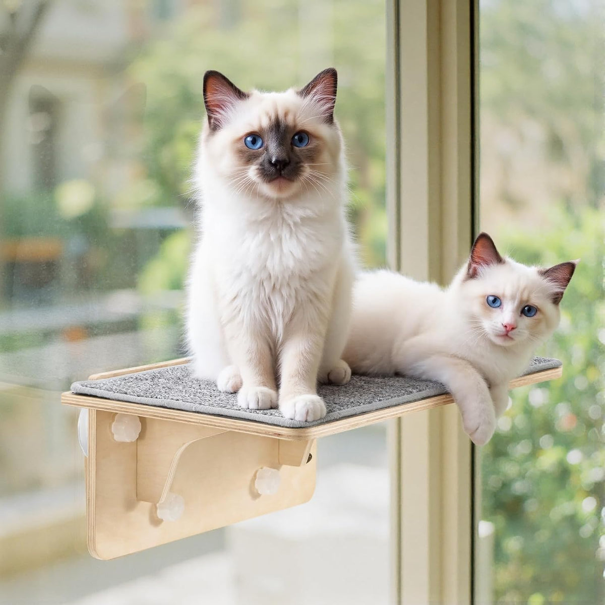 Pecute 2-In-1 Cat Window Perch & Wall Shelves, Cat Hammock Window 16"X10"