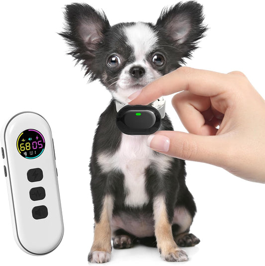 Small Dog Shock Collar with Remote, Lightweight Dog Training Collar for Dogs 5-15Lbs and Medium Breeds, Waterproof, 198 Adjustable Levels, Rechargeable, 1300Ft Range(White)
