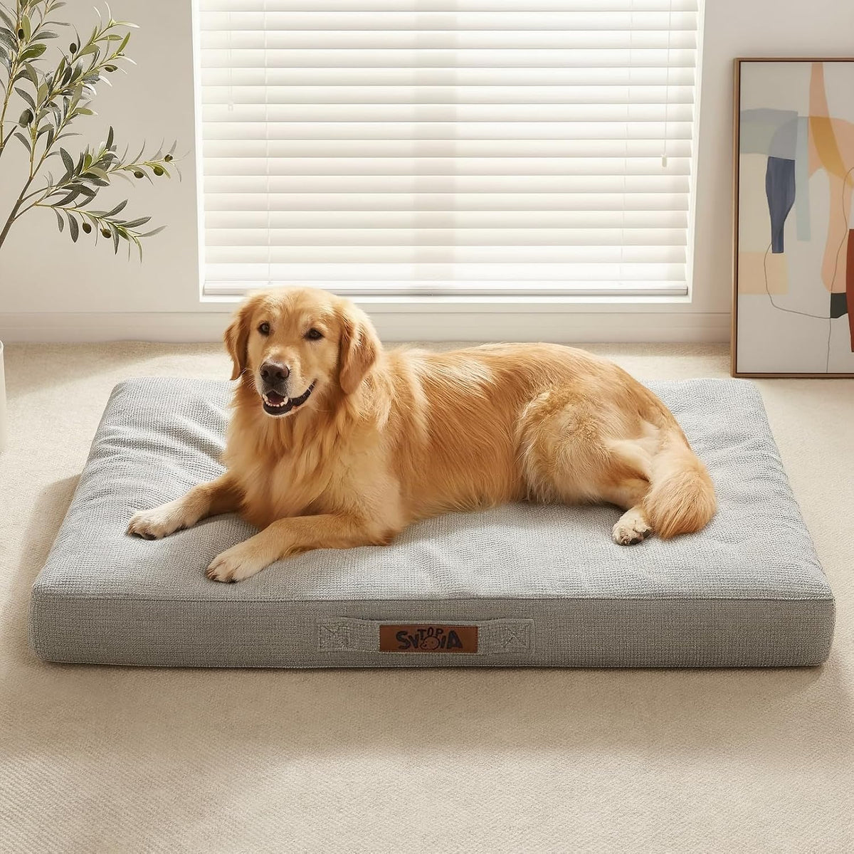 Sytopia 42 Inch Indestructible Orthopedic Dog Bed for Extra Large Dogs, Chew Proof Waterproof Pet Couch Bed with Sides, Egg Crate Foam, Removable Washable Cover, Great Pet Gift, Dark Grey