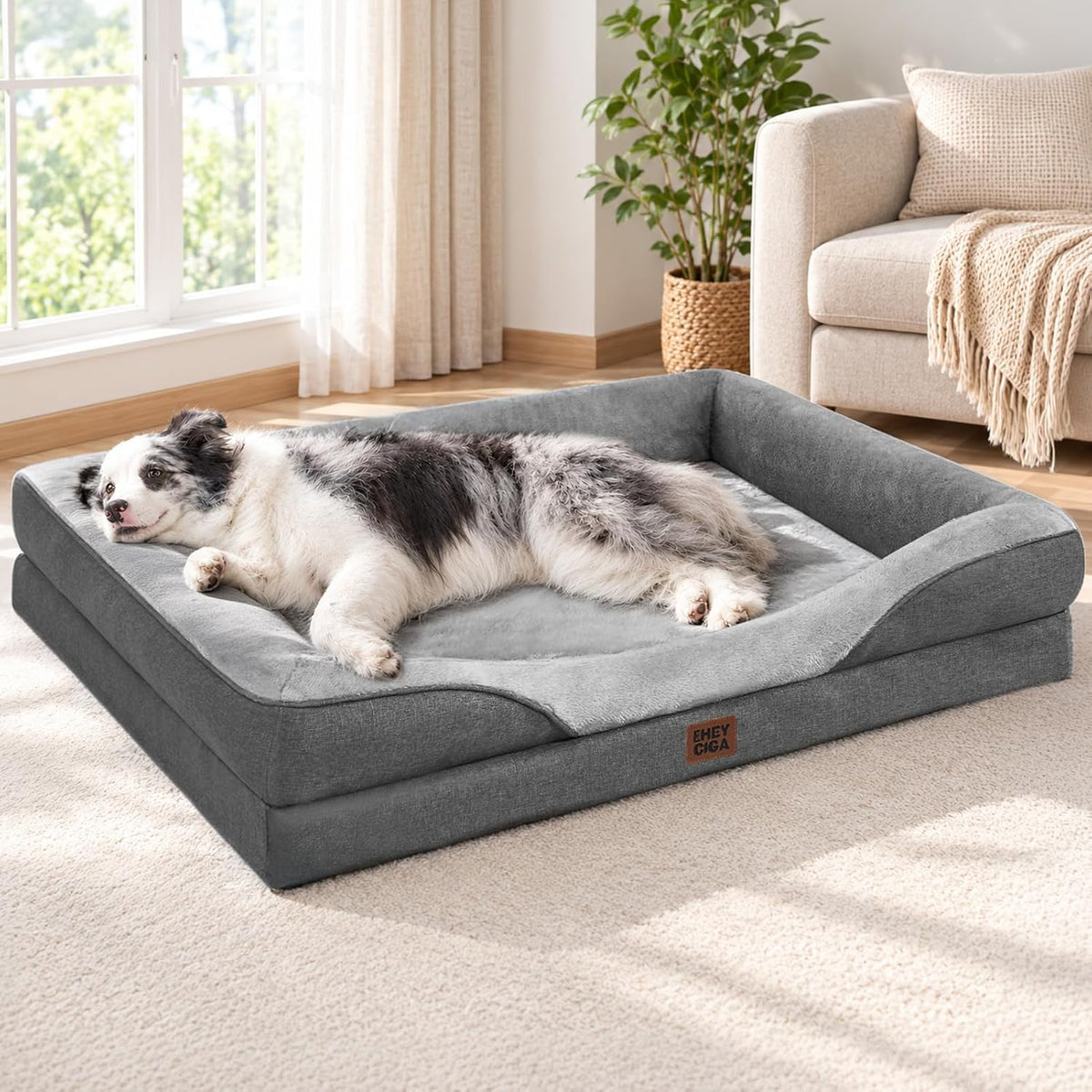 Simple Trending Elevated Dog Bed for Large Dogs with Bolsters, Black